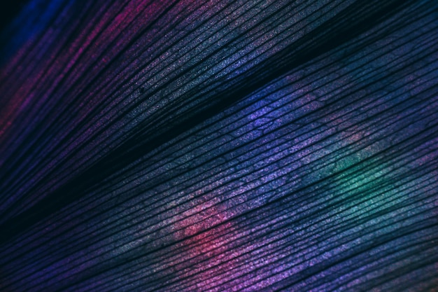 Codaraのコース一覧